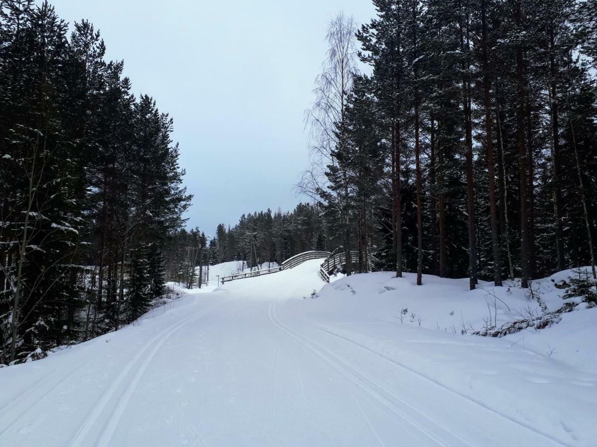 Коттедж В Финляндии, Enonkoski Exterior foto